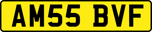 AM55BVF