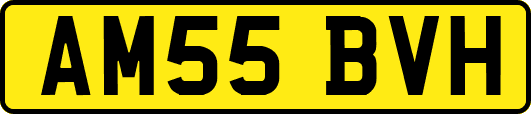 AM55BVH