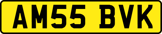 AM55BVK