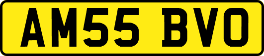 AM55BVO