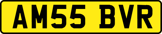 AM55BVR
