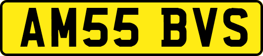 AM55BVS