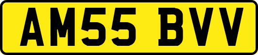 AM55BVV