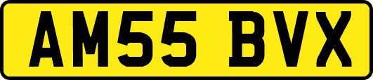 AM55BVX