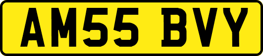 AM55BVY