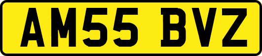 AM55BVZ