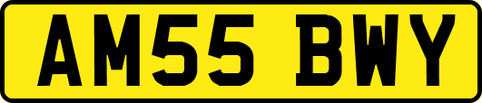 AM55BWY