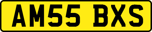 AM55BXS