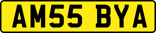 AM55BYA