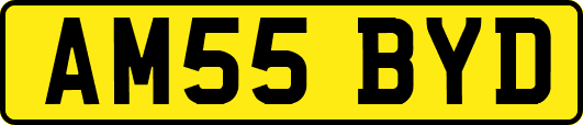 AM55BYD