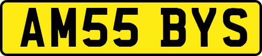 AM55BYS