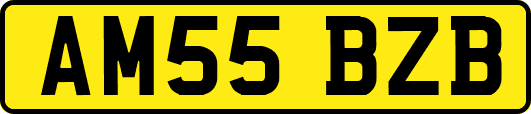 AM55BZB