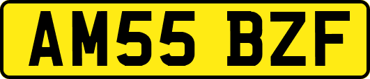AM55BZF