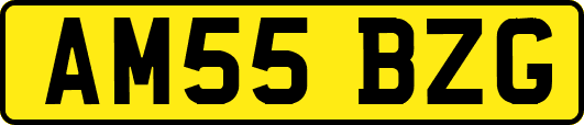 AM55BZG
