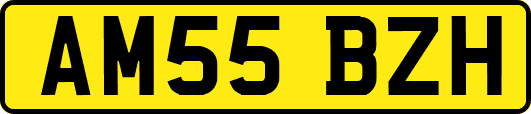 AM55BZH