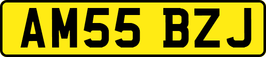 AM55BZJ
