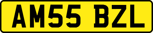 AM55BZL