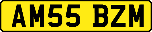 AM55BZM