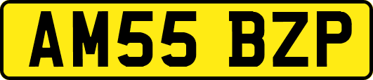 AM55BZP