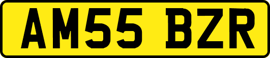 AM55BZR