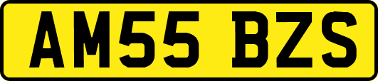 AM55BZS