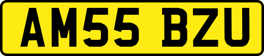 AM55BZU