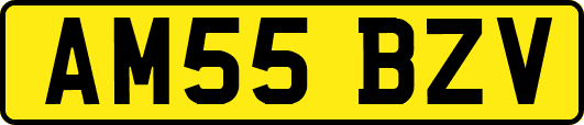 AM55BZV