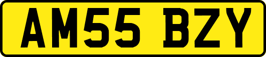 AM55BZY