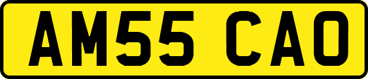 AM55CAO