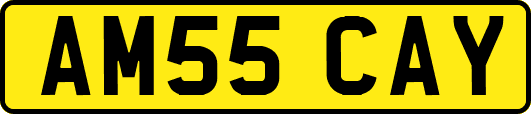 AM55CAY