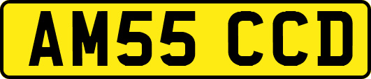 AM55CCD