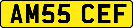 AM55CEF
