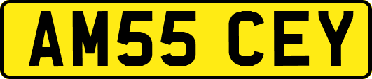 AM55CEY