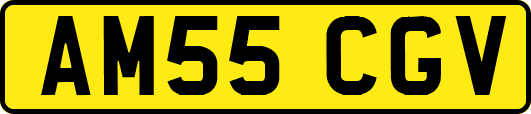 AM55CGV