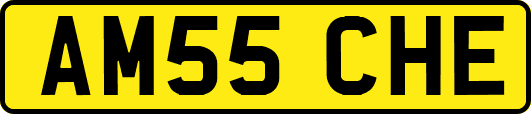 AM55CHE