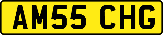 AM55CHG
