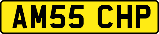 AM55CHP