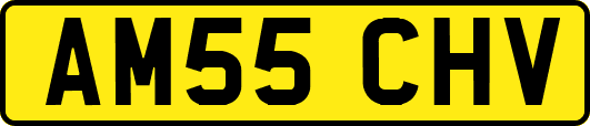 AM55CHV