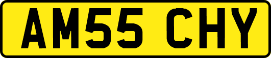 AM55CHY