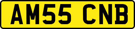 AM55CNB