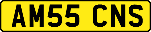 AM55CNS