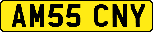 AM55CNY