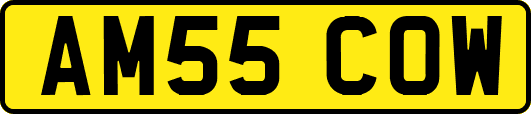 AM55COW