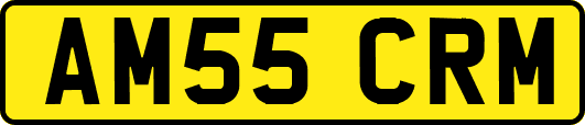 AM55CRM