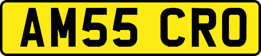 AM55CRO