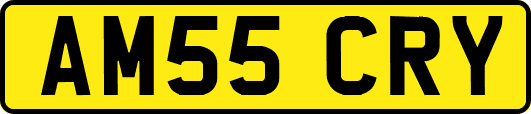 AM55CRY