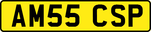 AM55CSP