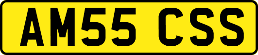AM55CSS
