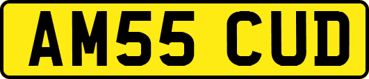 AM55CUD