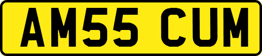 AM55CUM